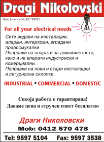 159_electrical_dragi